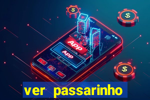 ver passarinho morto significado